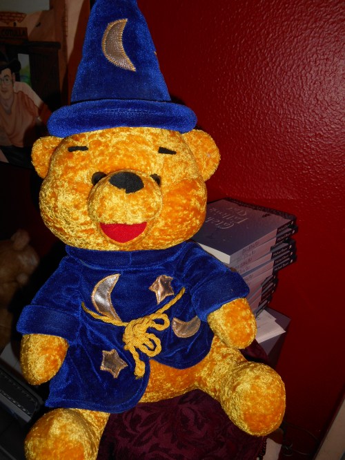 From My Stuffed Animal Collection : Wizard Bear