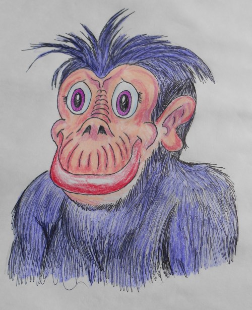 Math Monkey