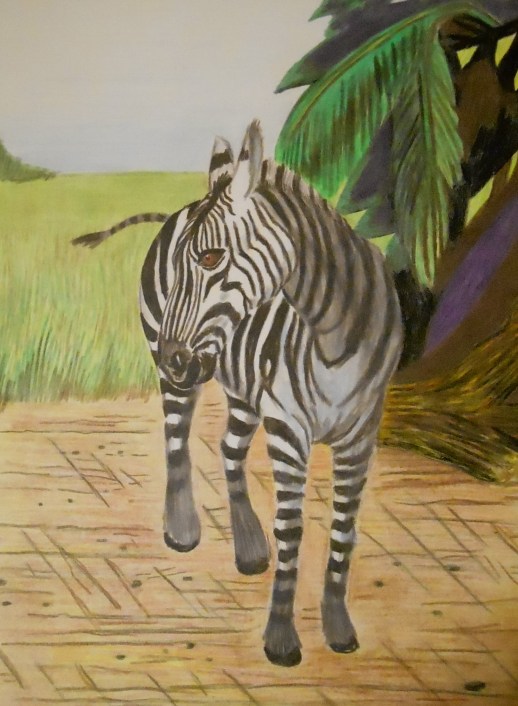 zebra