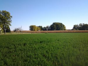 1399024_220039334824422_480122723_o