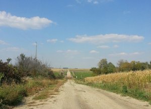 1450109_688917614523503_5237770938249269421_n