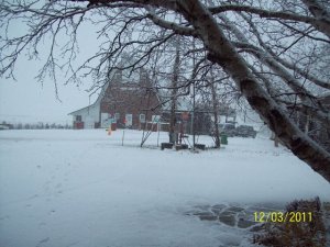 388135_298275616878726_103835066322783_936339_2005428082_n