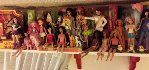 The Barbie Shelf