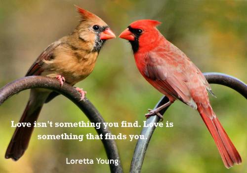 12240330_1064707073548623_4595113678298695739_o