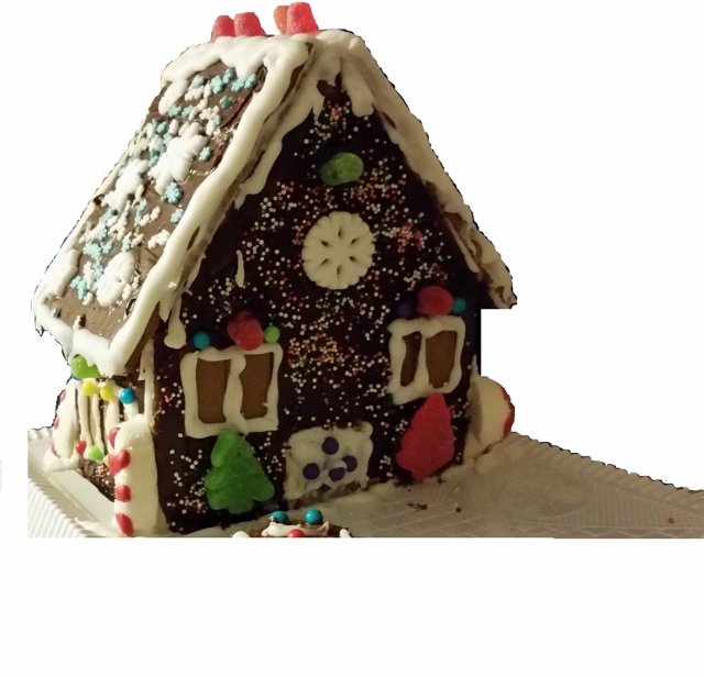 20151224_191050xx (640x616)