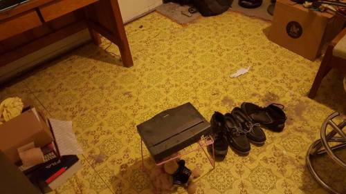 10553417_902414259877997_4455689281927417122_n