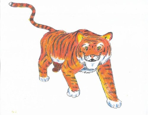 16750_102844483074517_100000468961606_71385_5453927_n