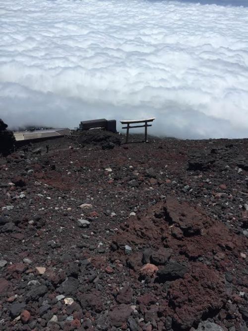 c1069a84-6cea-47c1-86ef-fa1f6ef41764