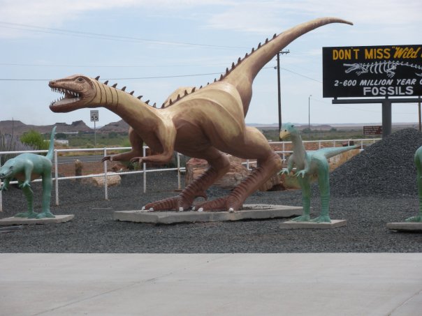 18951_104368109588756_5398755_n