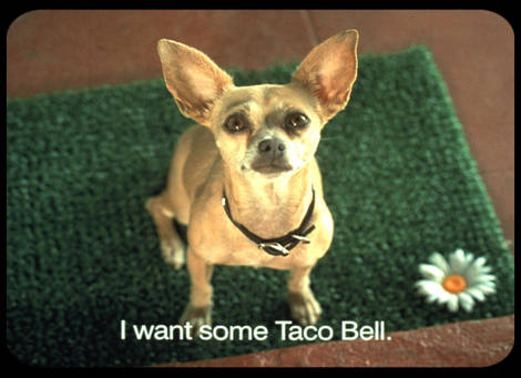 tacobelldogtvtakesjpg