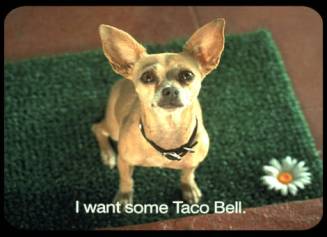 tacobelldogtvtakesjpg