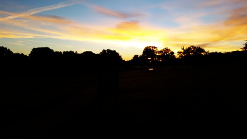 c360_2016-09-28-07-12-51-576