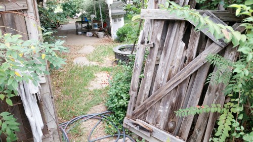 c360_2016-11-04-12-46-00-146