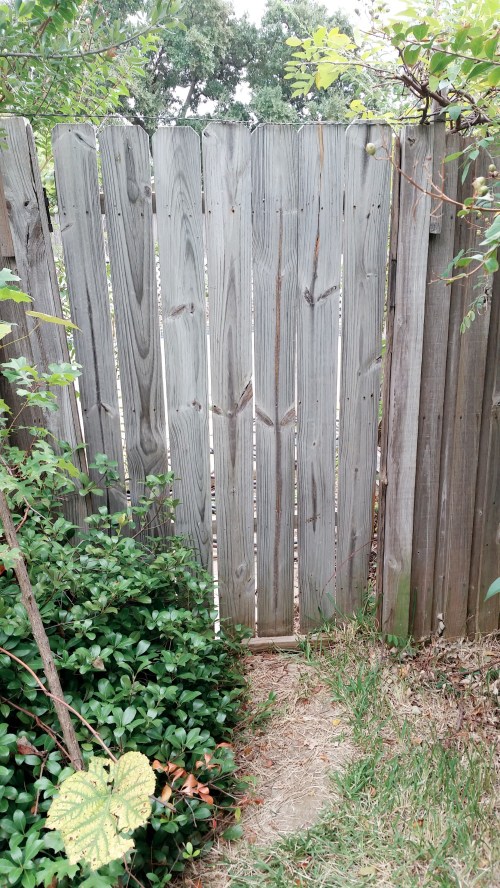 c360_2016-11-06-09-37-33-637