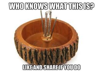 15349795_1141391802647111_8925533775611174072_n