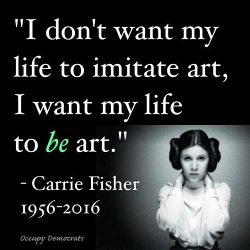 15726588_1369608616465522_656756409183737537_n