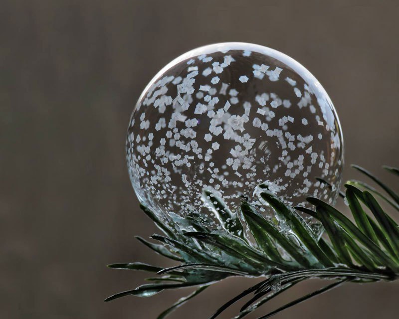 blowing-soap-bubbles-in-cold-weather-by-cheryl-johnson-3