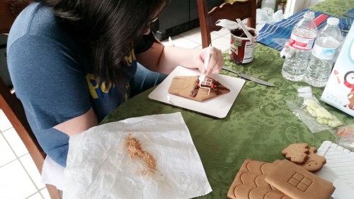 c360_2016-12-31-15-17-41-140