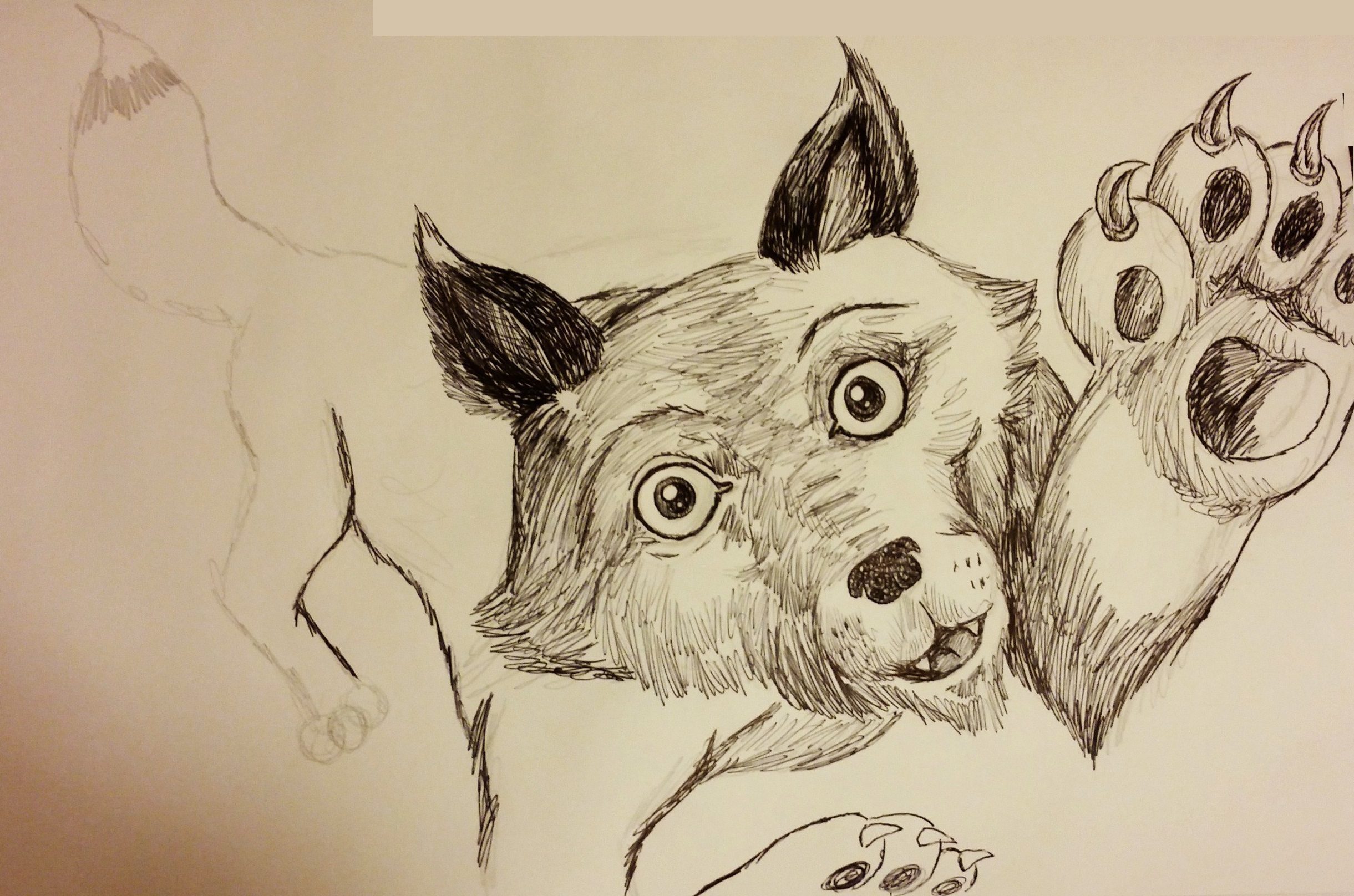 c360_2017-02-21-18-13-43-545