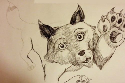 c360_2017-02-21-18-13-43-545