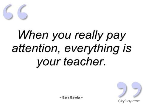 3695714-pay-attention-quotes-and-sayings
