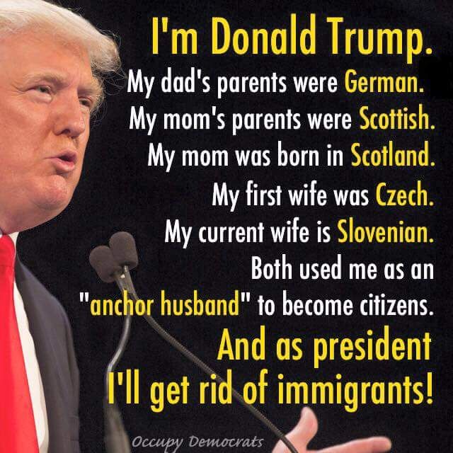 48eeab4da671d8e1afa0b62f2ff94ec7