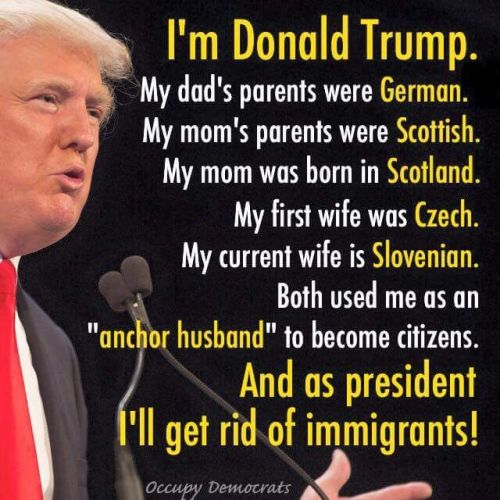 48eeab4da671d8e1afa0b62f2ff94ec7