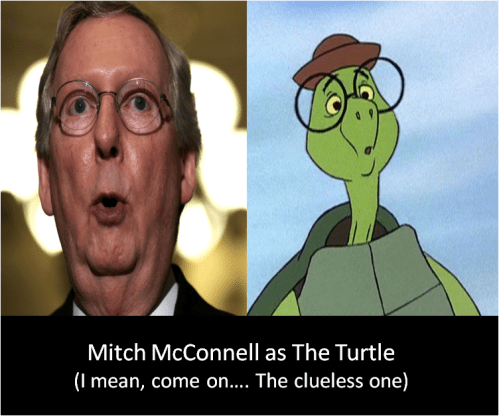 mcconnell turtle