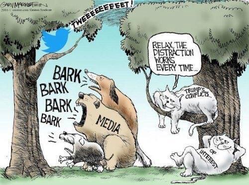 18222655_1345031098910431_2549147610043247717_n