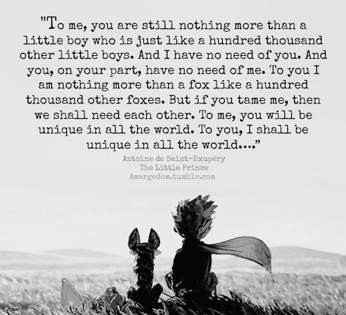 2972da5d3eb623582852db74ddc9327e