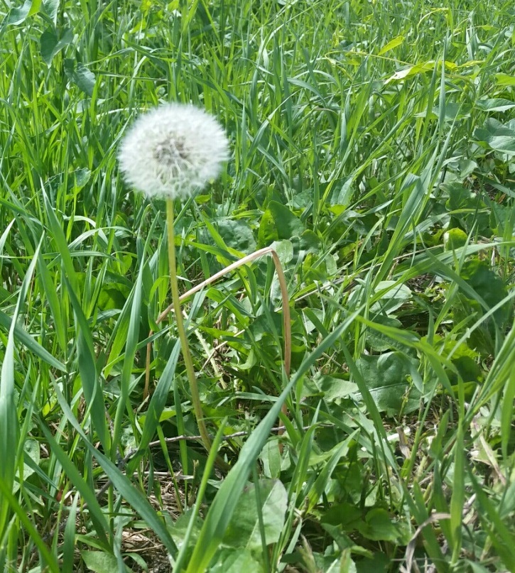 C360_2017-06-16-11-04-41-011222xxx