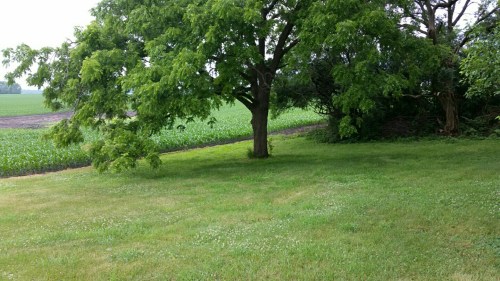 C360_2017-06-17-10-30-40-905