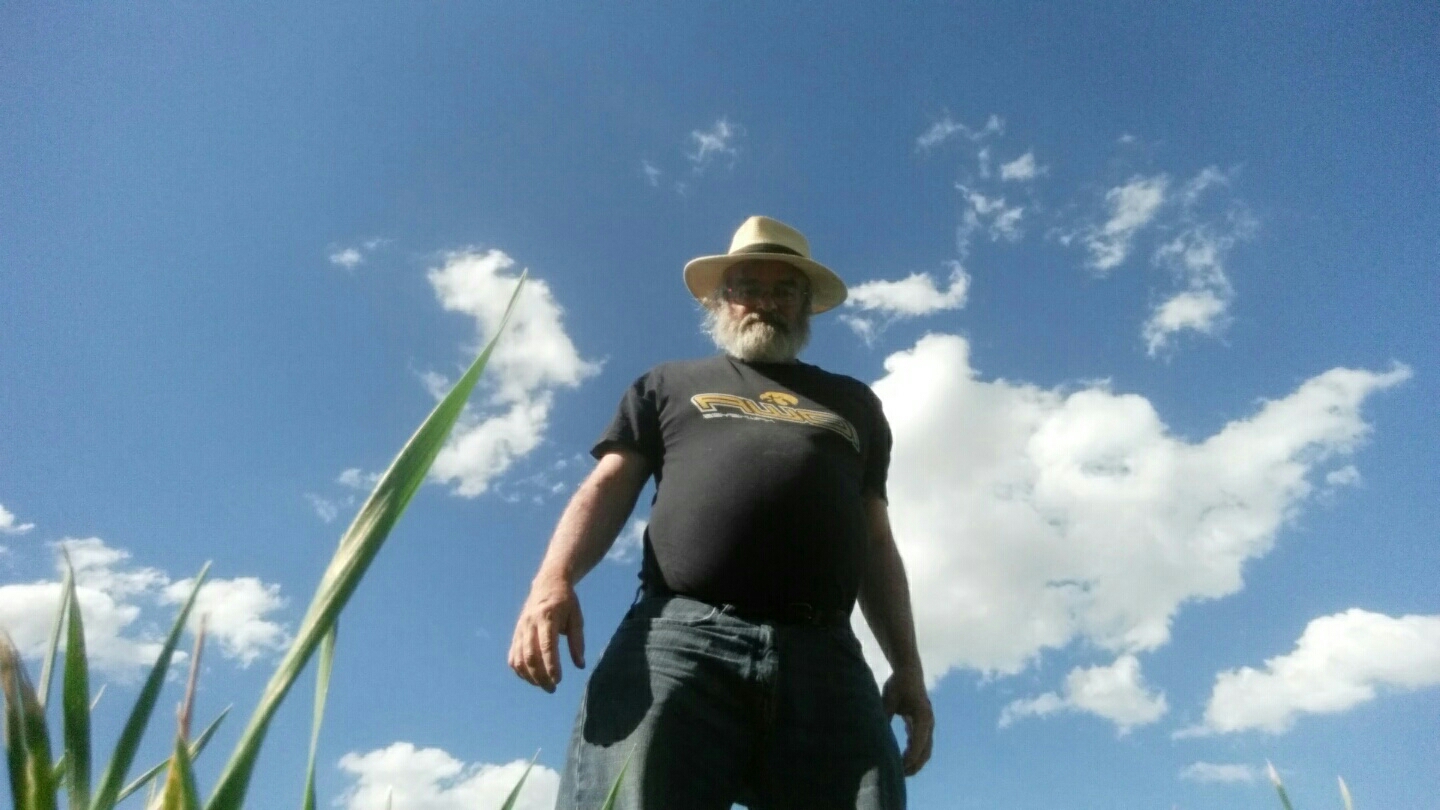 C360_2017-06-19-17-26-48-541