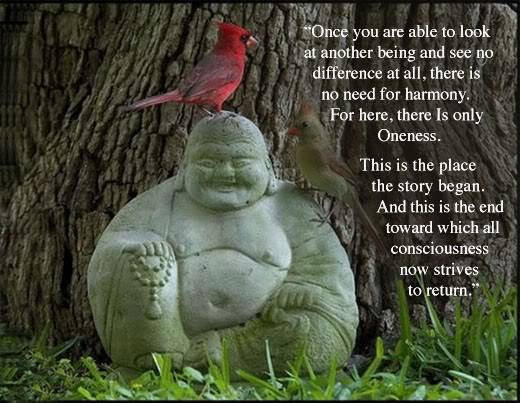 10574301_444846405630570_1607306571712141577_n