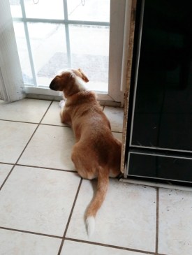 C360_2017-08-07-12-09-54-689