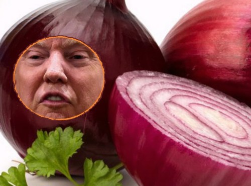 Red-Onion-of-Trumpea