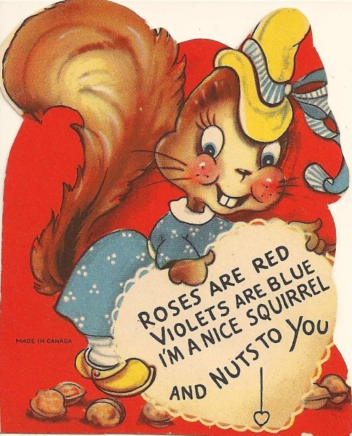 Squirrel_Valentine_(6761267383)