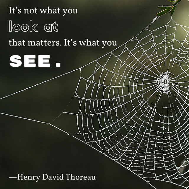 11138605_10152881532411902_40591848680516963_n