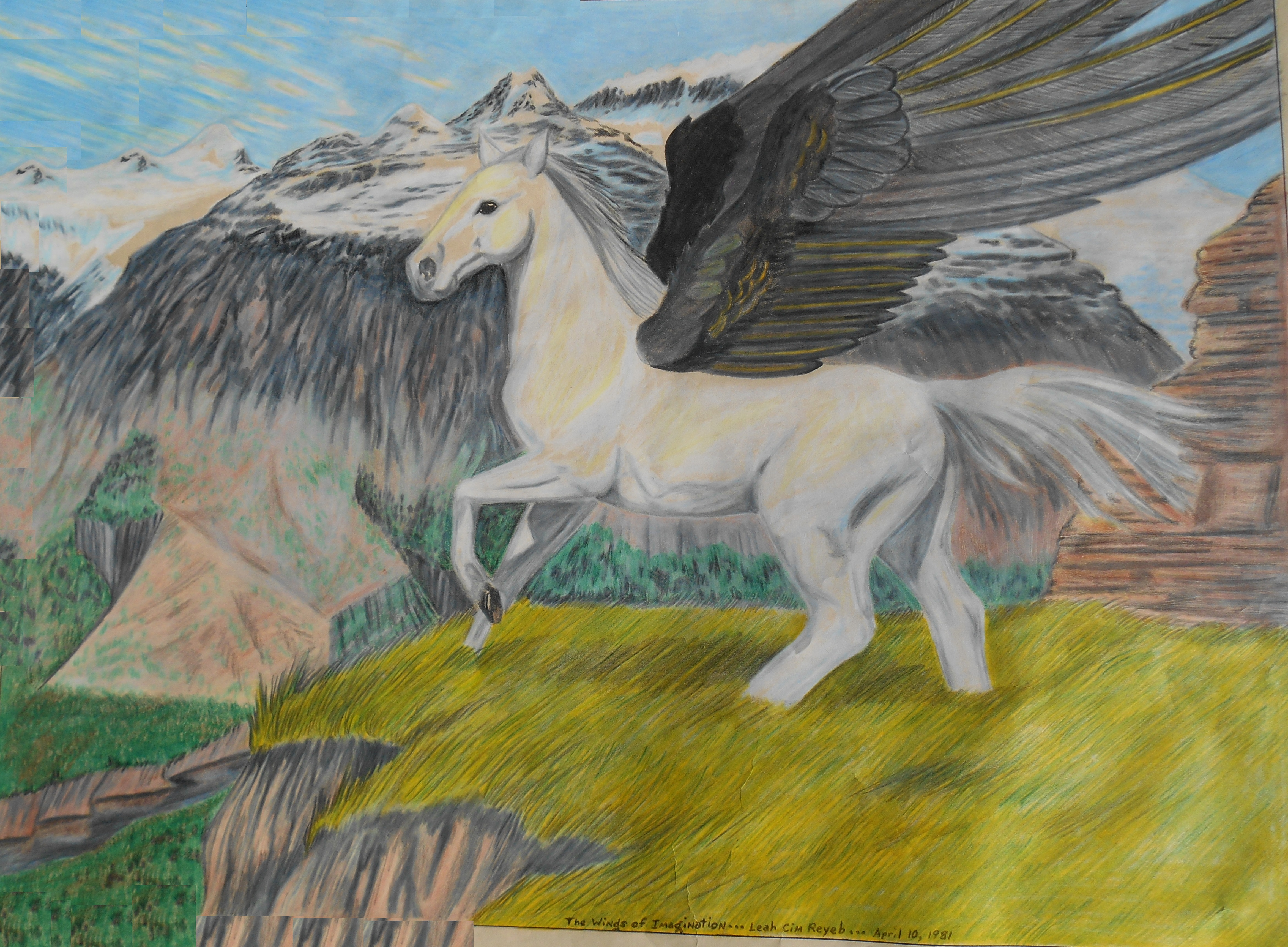 Wings of Imagination