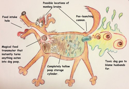 c360_2017-01-03-21-40-18-852